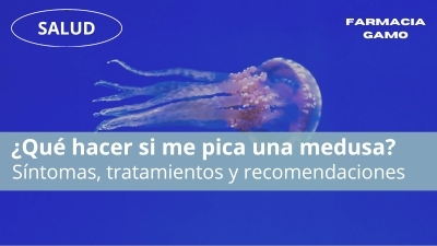 Picadura de medusa: Síntomas, tratamientos y recomendaciones