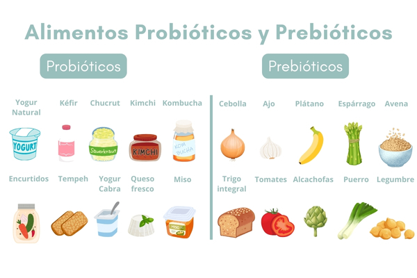 alimentos probioticos y prebioticos
