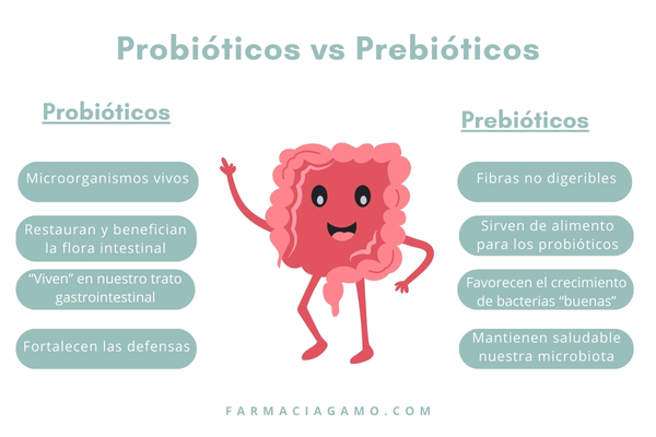 diferencia probióticos y prebióticos
